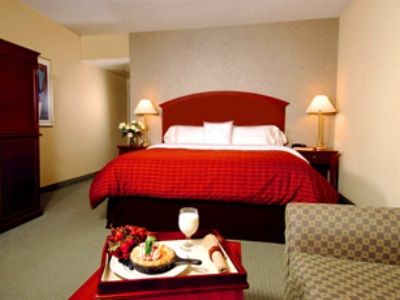 Hotel Sheraton Grand Downtown